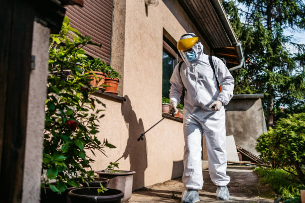 Best Residential Pest Control  in Pleasanton, CA