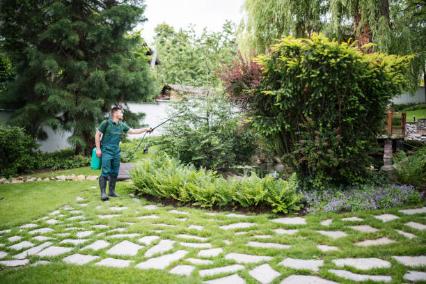 Best Flea Control Services  in Pleasanton, CA