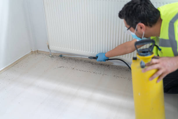 Best Rat Extermination Near Me  in Pleasanton, CA